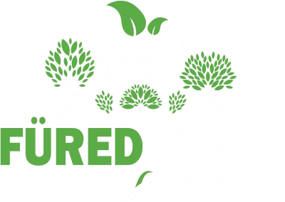 Füred Pizza